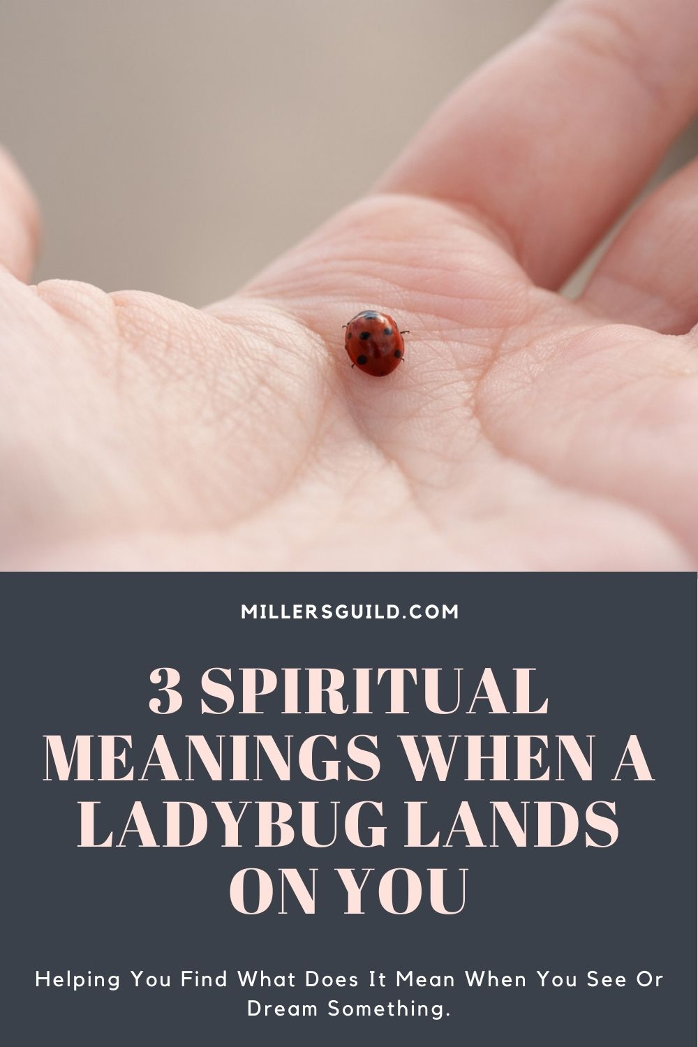 Spiritual Meanings When a Ladybug Lands on You