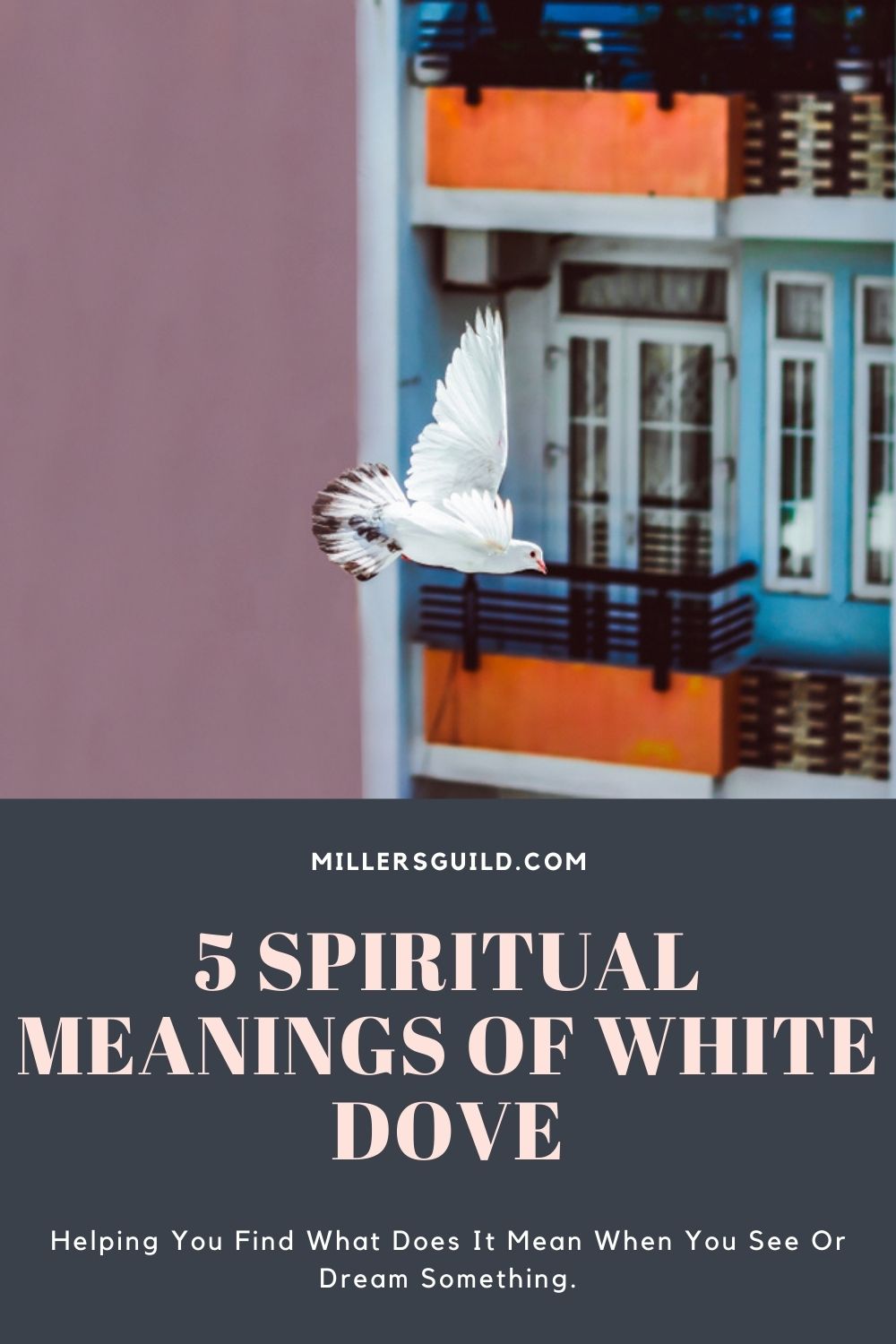 Spiritual Meanings of White Dove