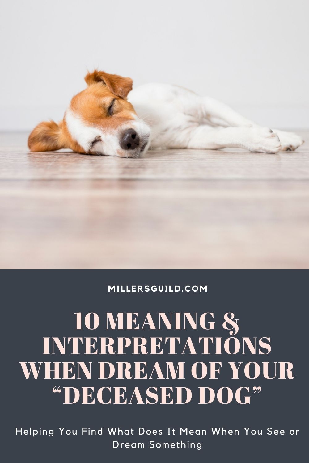 10 Meaning & Interpretations When Dream of Your “Deceased Dog” 2