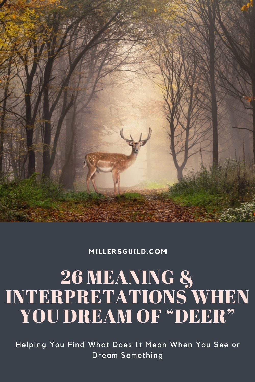 26 Meaning & Interpretations When You Dream Of “Deer” 1