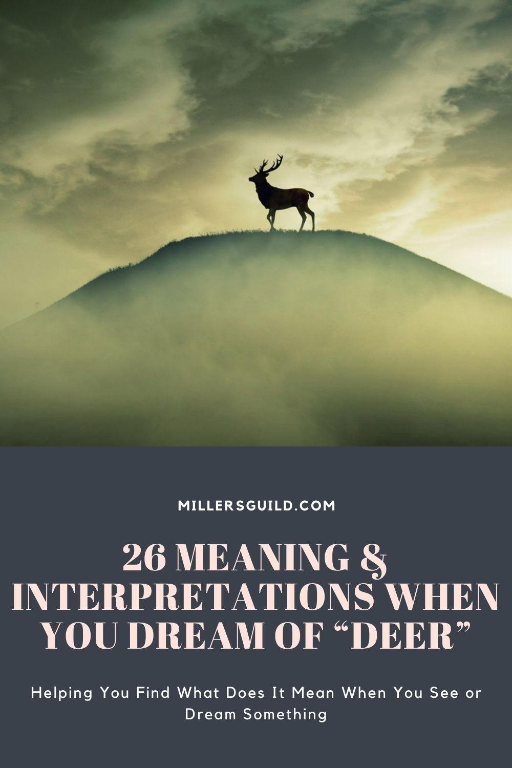 26 Meaning & Interpretations When You Dream Of “Deer” 2