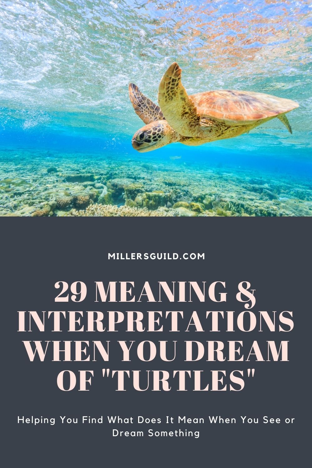 29 Meaning & Interpretations When You Dream of Turtles 3