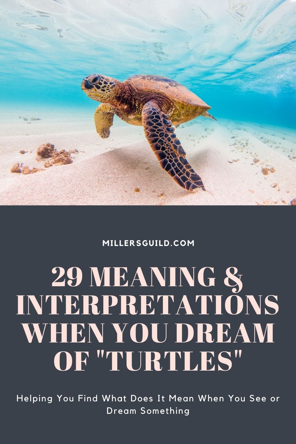 29 Meaning & Interpretations When You Dream of Turtles 4