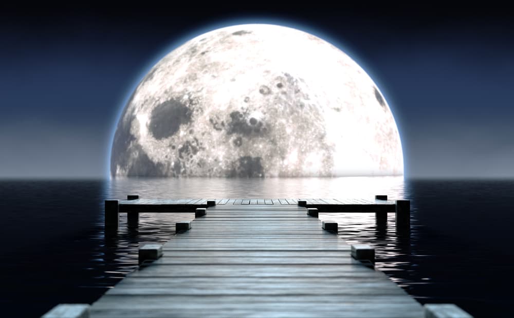 Moon Fading dream
