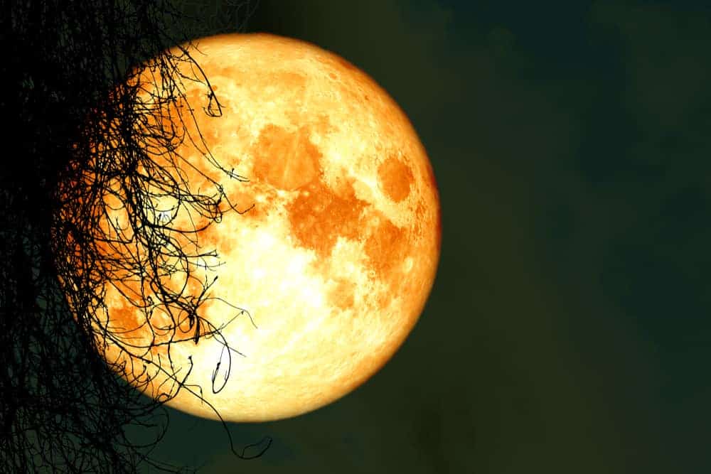 Orange Moon dream