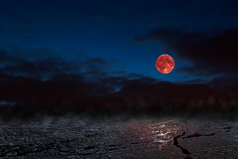 Red Moon dream