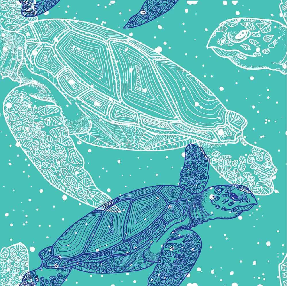 turtle in dream
