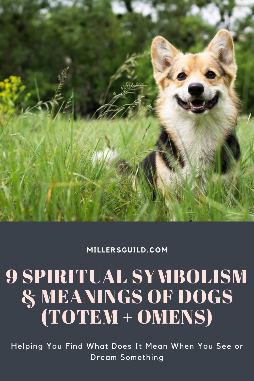 9 Spiritual Symbolism & Meanings Of Dogs (Totem + Omens) 2