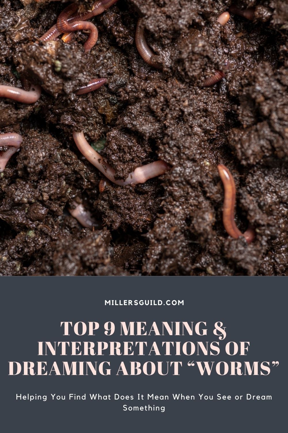 Top 9 Meaning & Interpretations of Dreaming About Worms 1