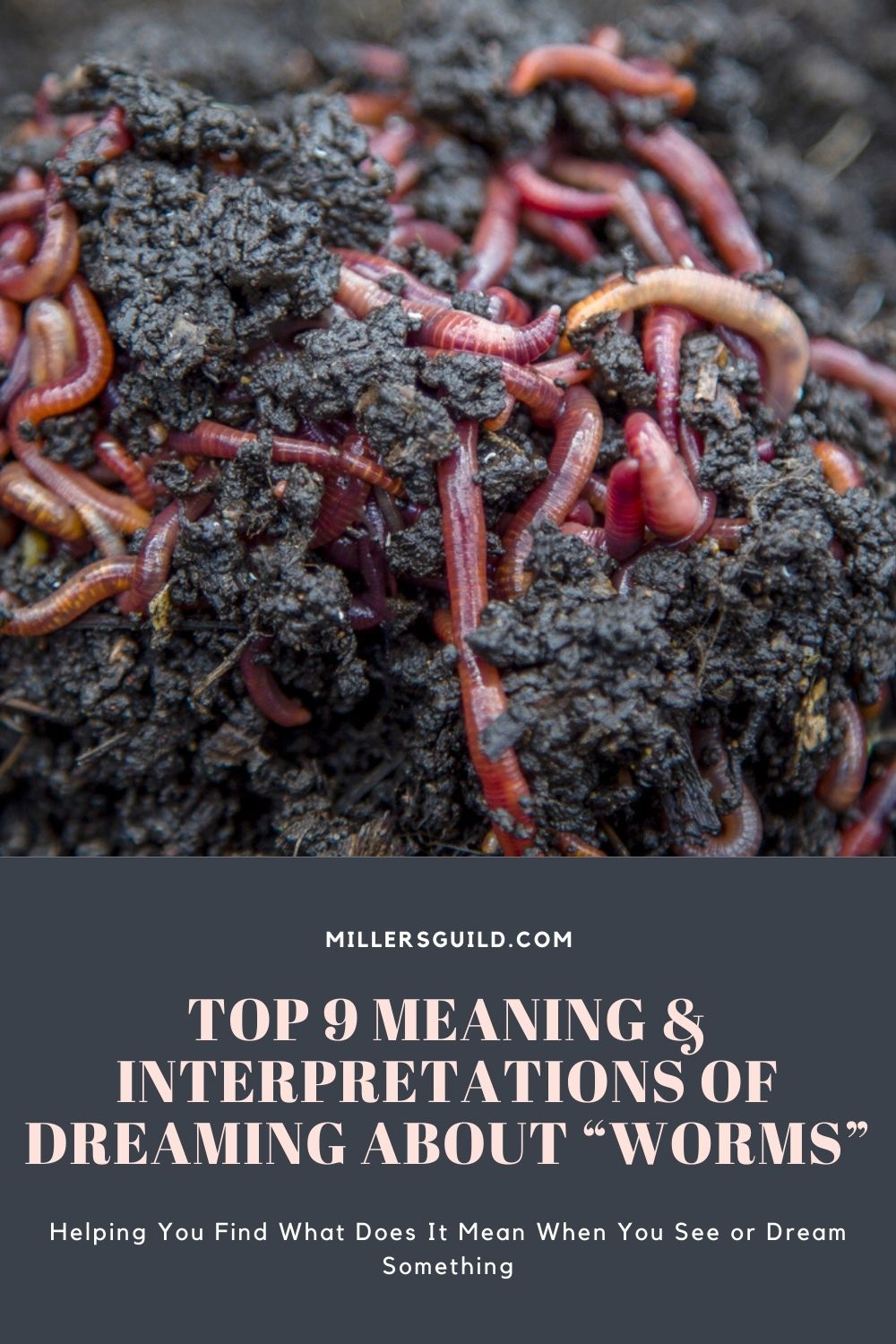 Top 9 Meaning & Interpretations of Dreaming About Worms 2