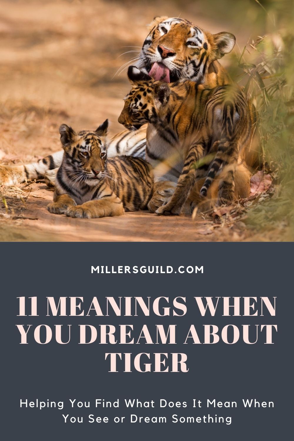 11 Meanings When You Dream About Tiger 2