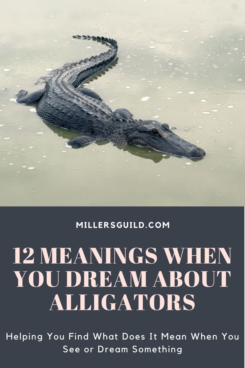 12 Meanings When You Dream About Alligators 1