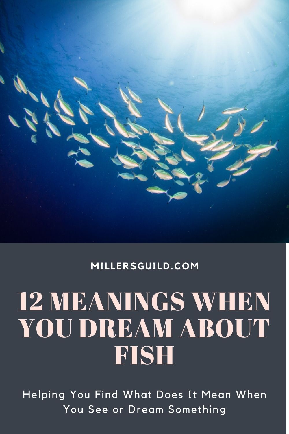 12 Meanings When You Dream About Fish 1