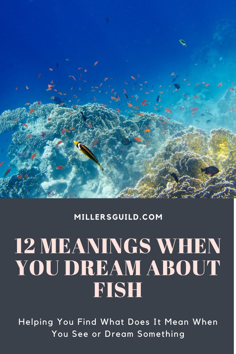 12 Meanings When You Dream About Fish 2