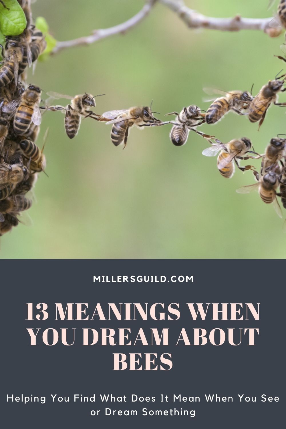 13 Meanings When You Dream About Bees 1