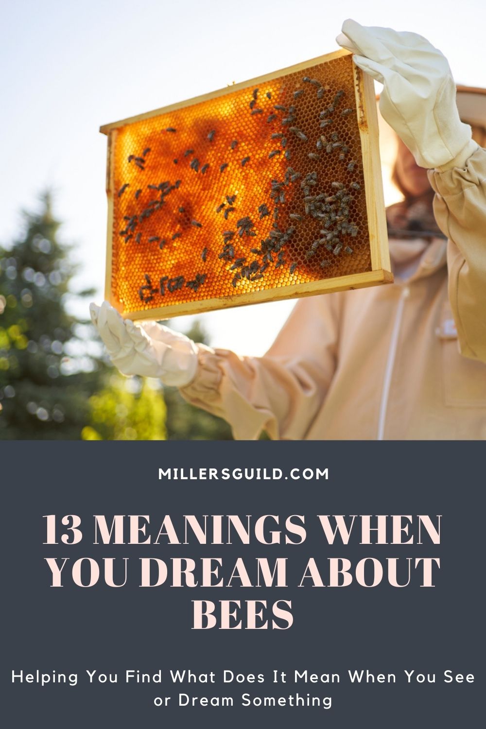 13 Meanings When You Dream About Bees 2