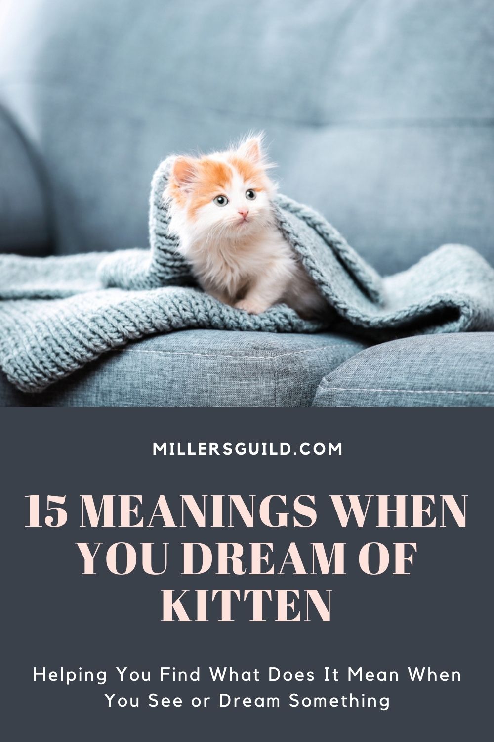 15 Meanings When You Dream Of Kitten 1