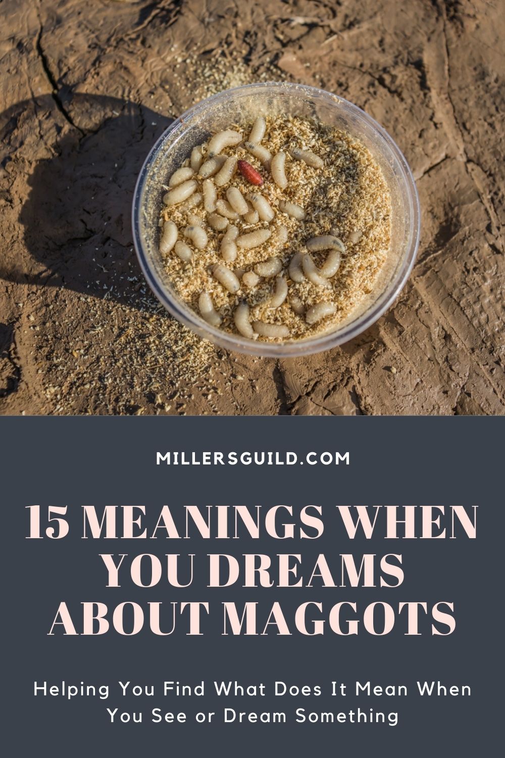 15 Meanings When You Dreams About Maggots 1