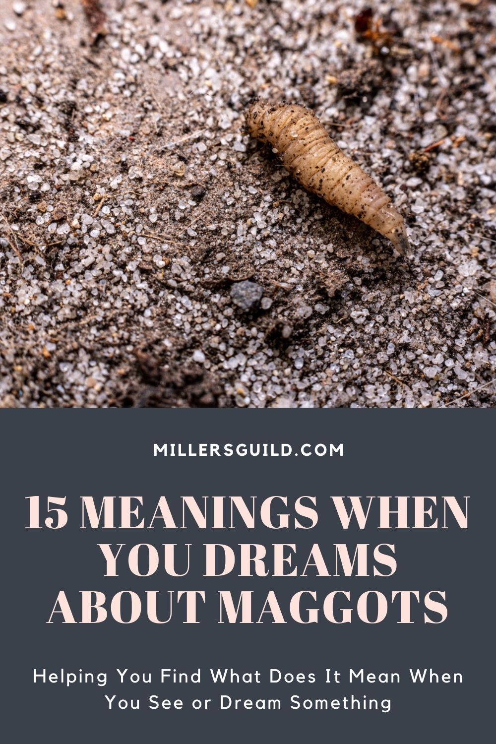 15 Meanings When You Dreams About Maggots 2