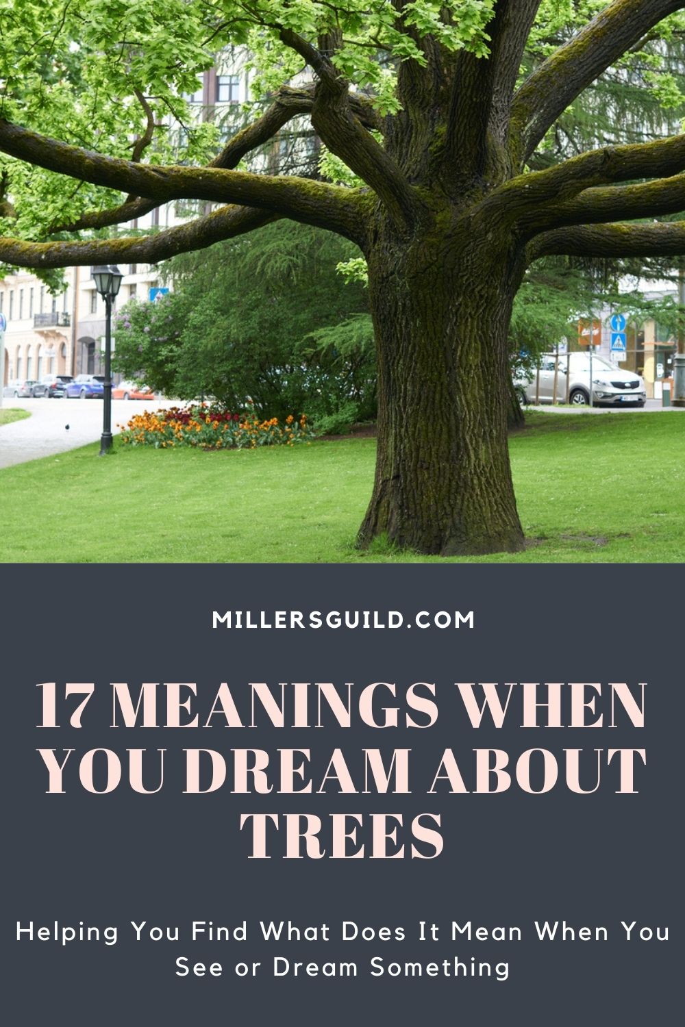 17 Meanings When You Dream About Trees 1