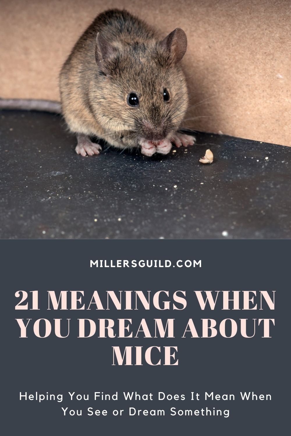 21 Meanings When You Dream About Mice 1