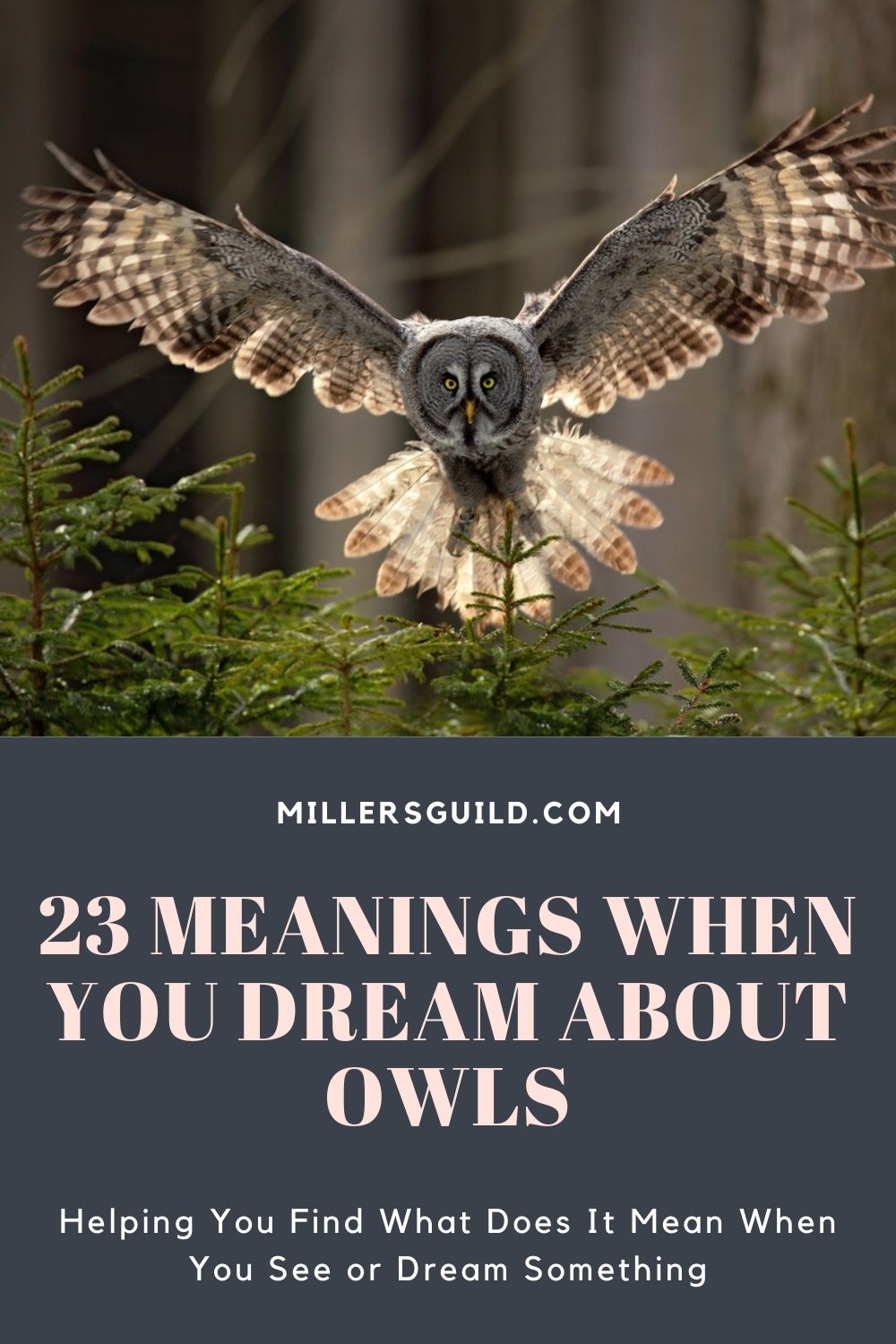 23 Meanings When You Dream About Owls 1