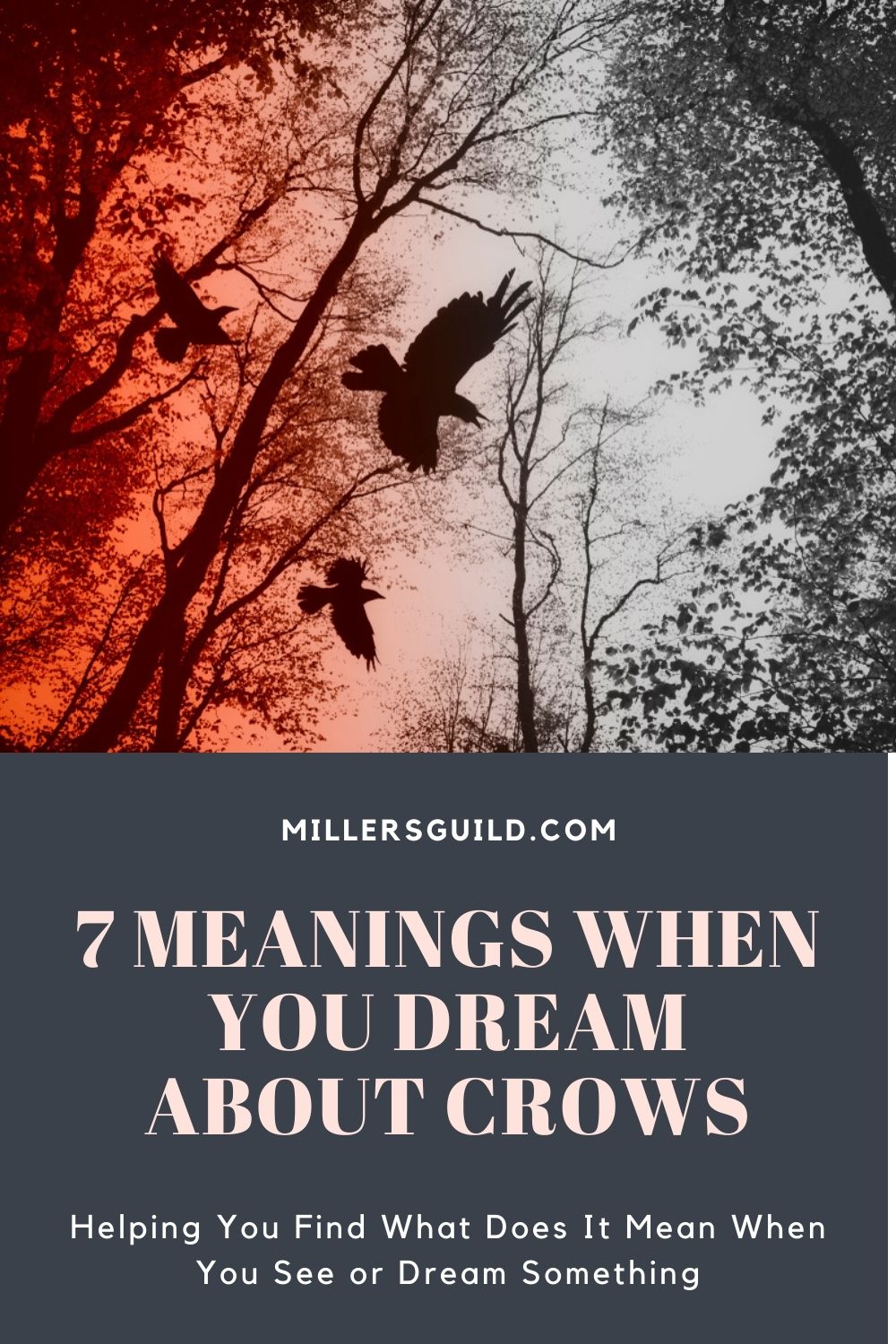 7 Meanings When You Dream About Crows 1
