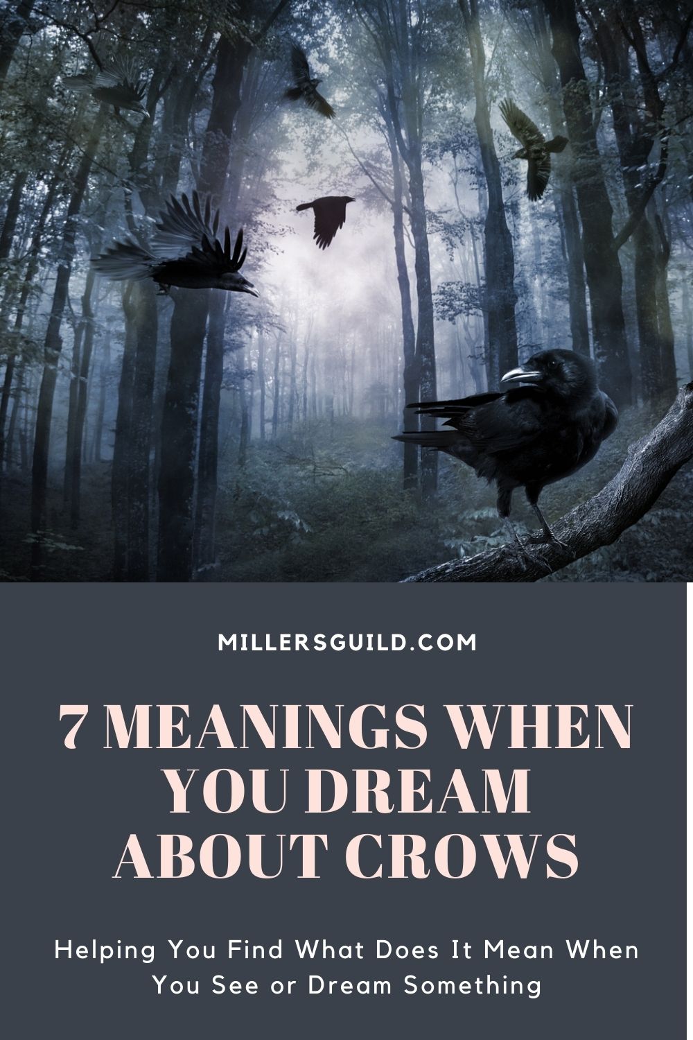 7 Meanings When You Dream About Crows 2