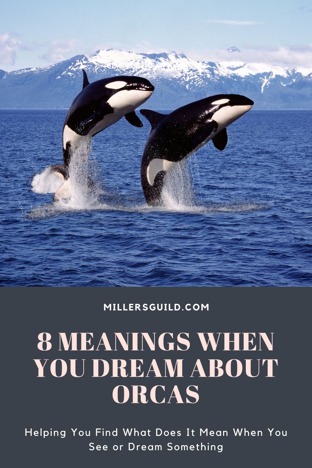 8 Meanings When You Dream About Orcas 2