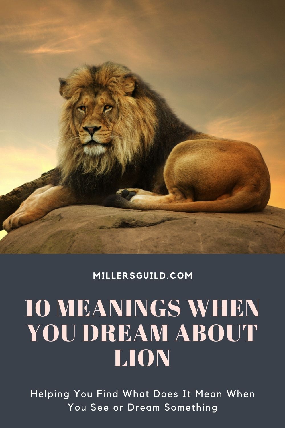 10 Meanings When You Dream About Lion 1