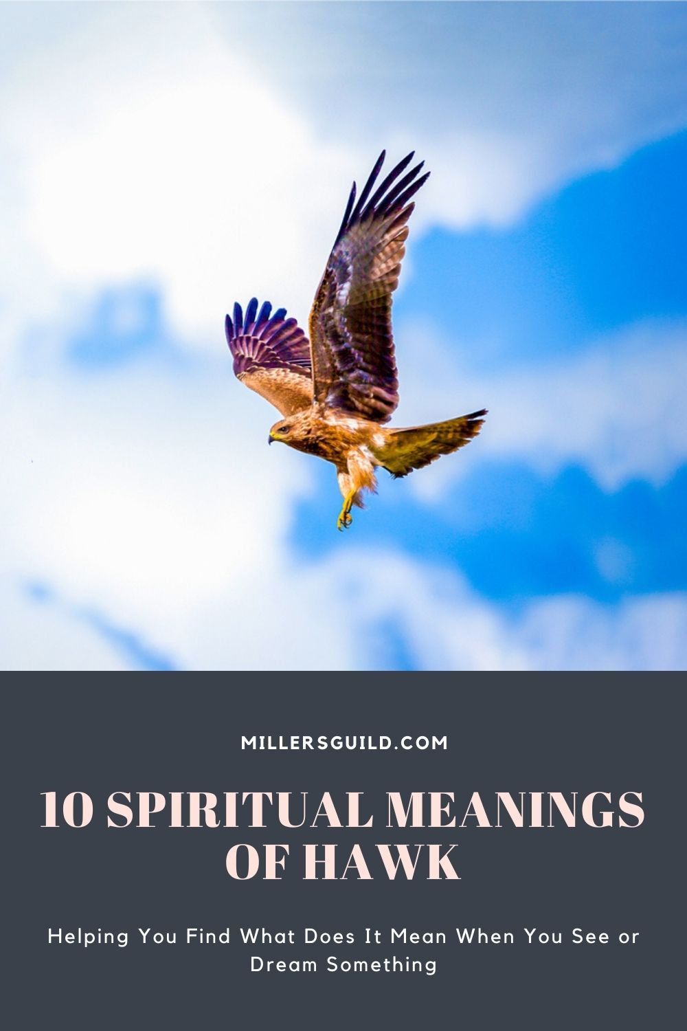 10 Spiritual Meanings of Hawk 2