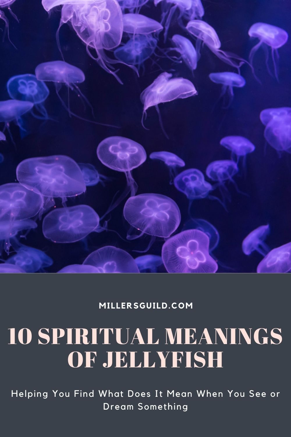 10 Spiritual Meanings of Jellyfish 1