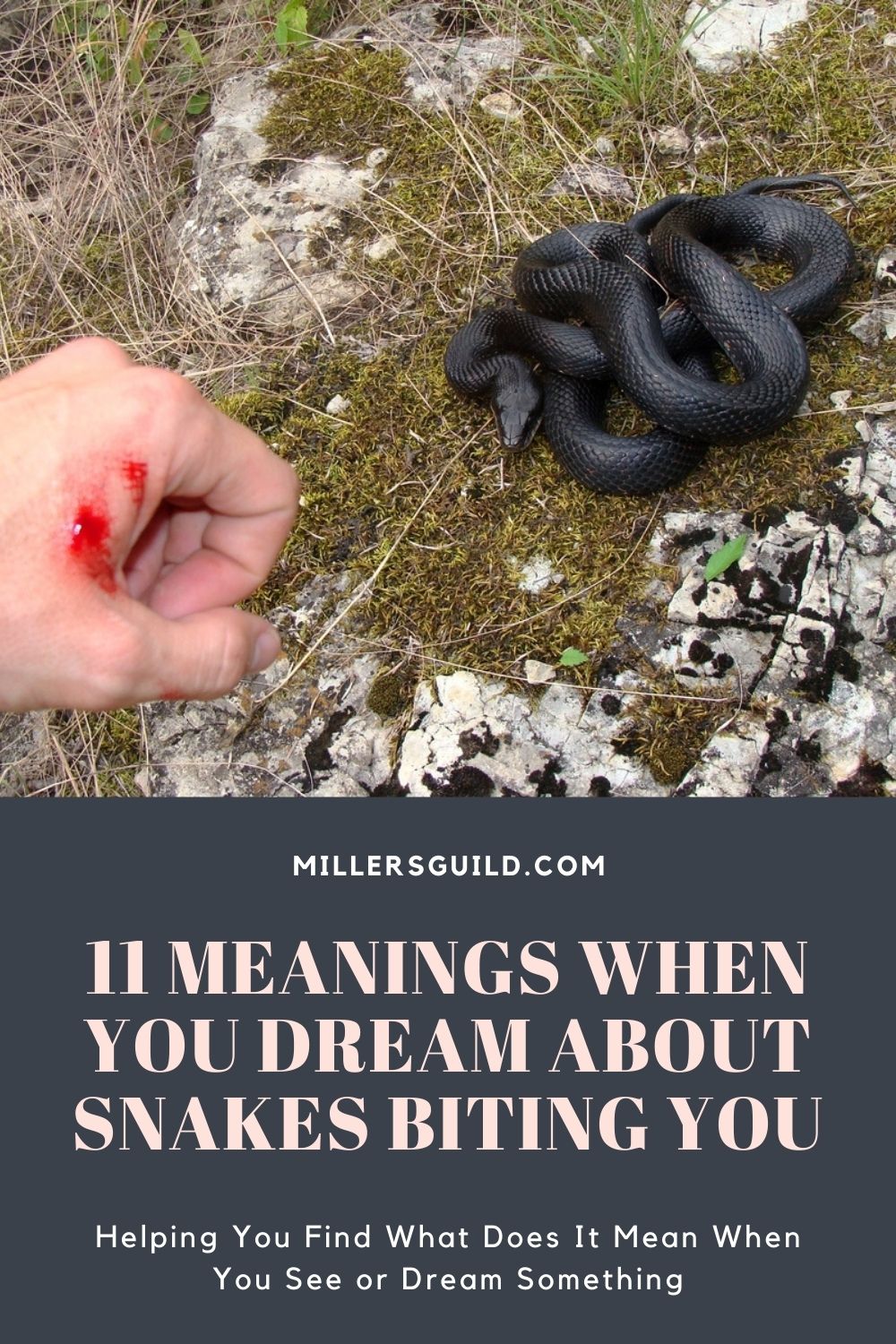 11 Meanings When You Dream About Snakes Biting You 2