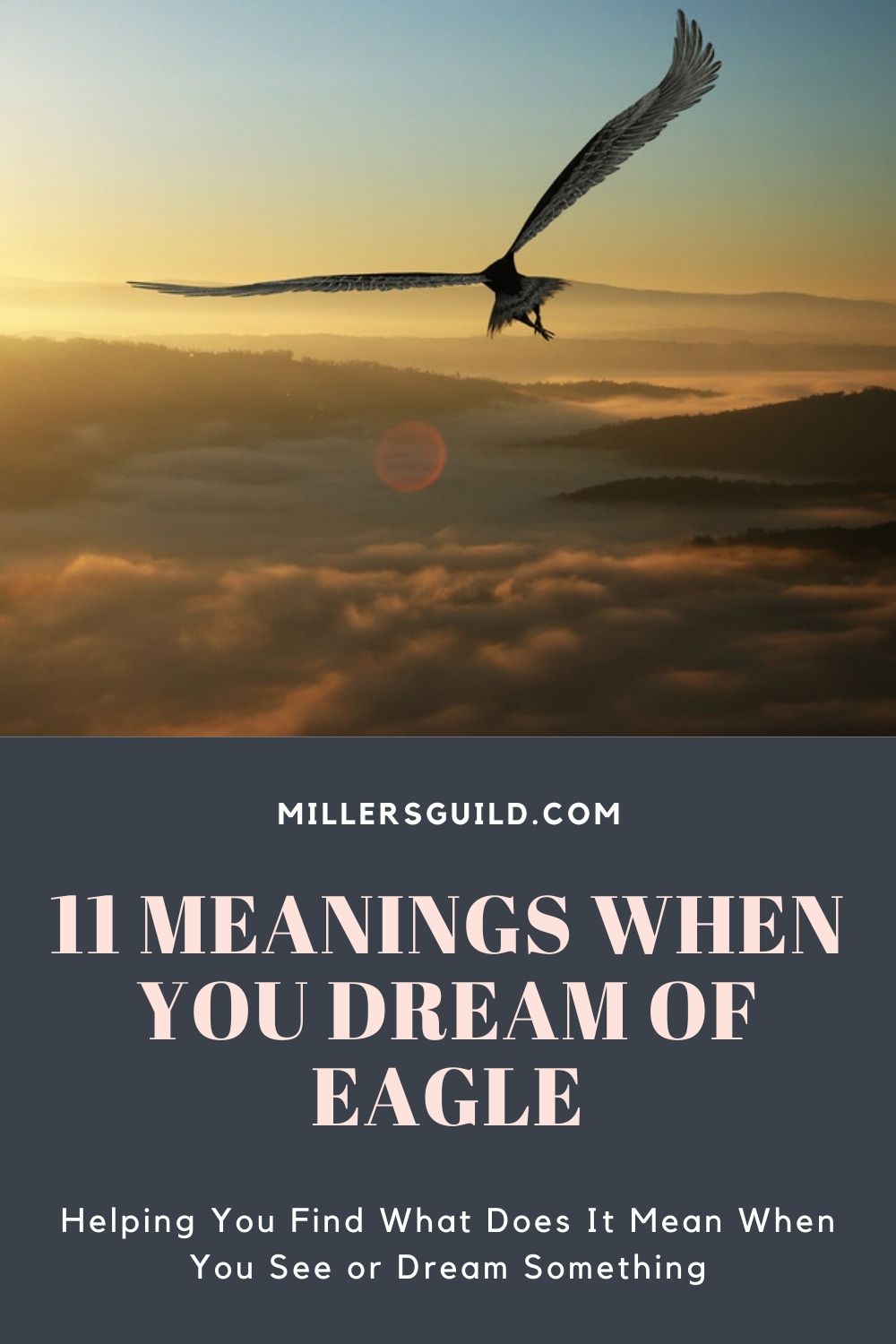 11 Meanings When You Dream of Eagle 2