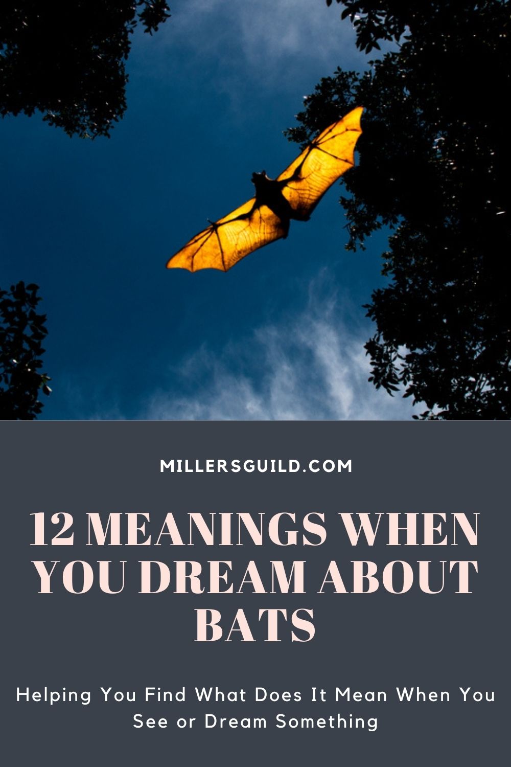12 Meanings When You Dream About Bats 1