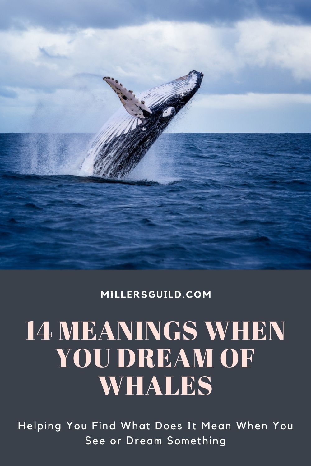 14 Meanings When You Dream of Whales 2
