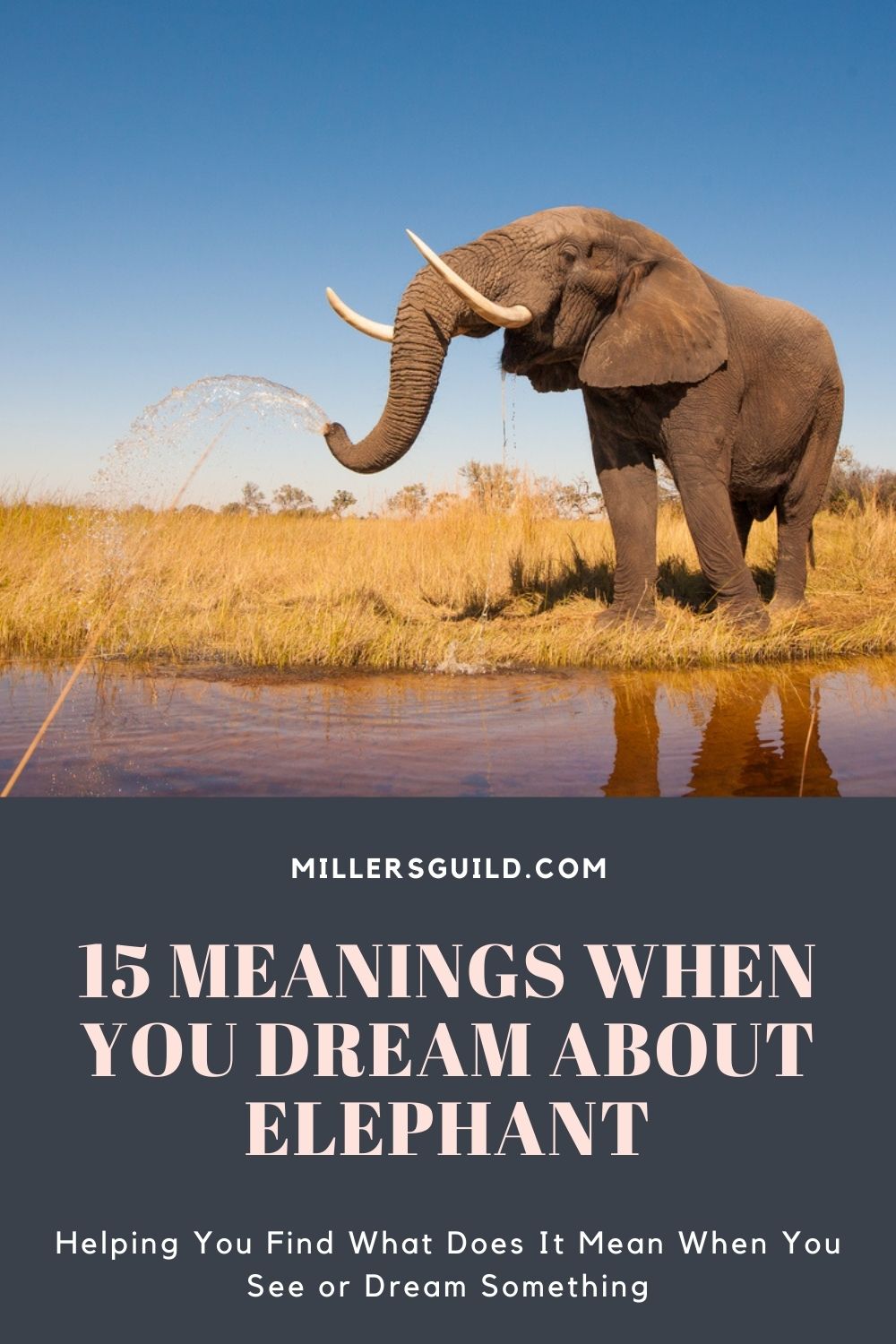15 Meanings When You Dream About Elephant 2