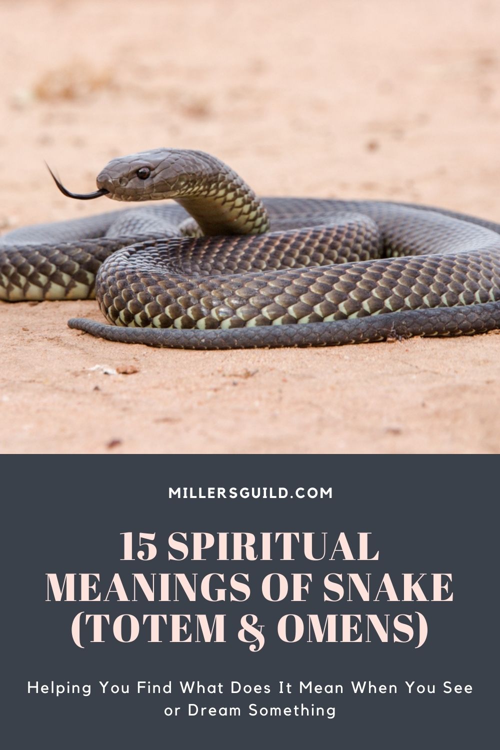 15 Spiritual Meanings of Snake (Totem & Omens) 1