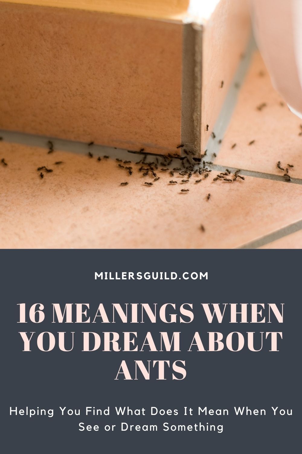 16 Meanings When You Dream About Ants 1
