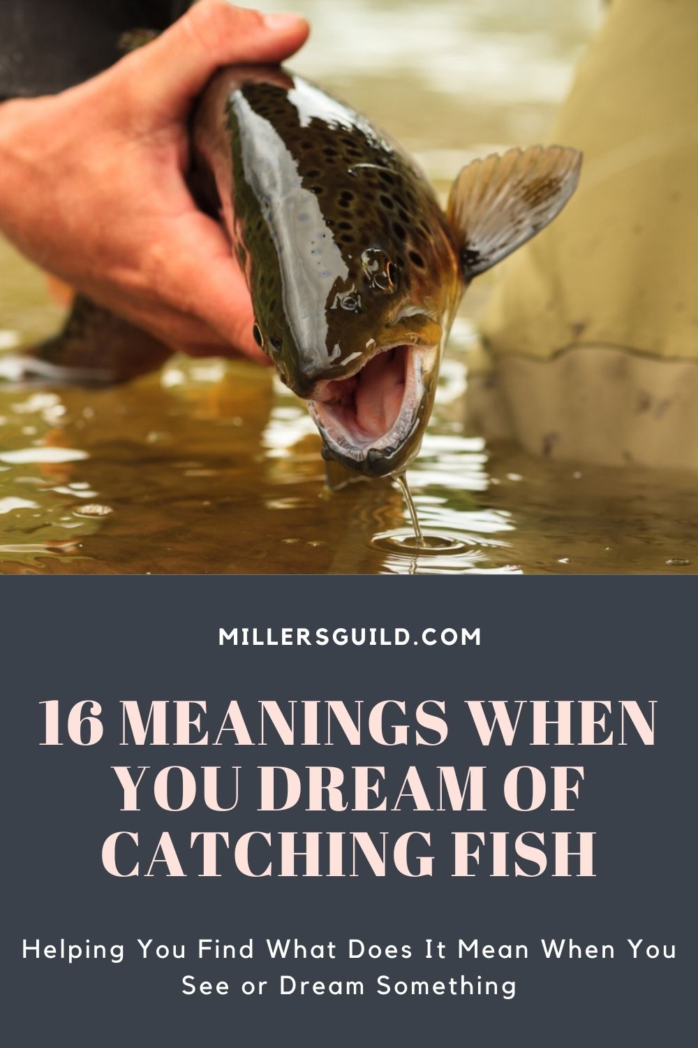 16 Meanings When You Dream Of Catching Fish 1