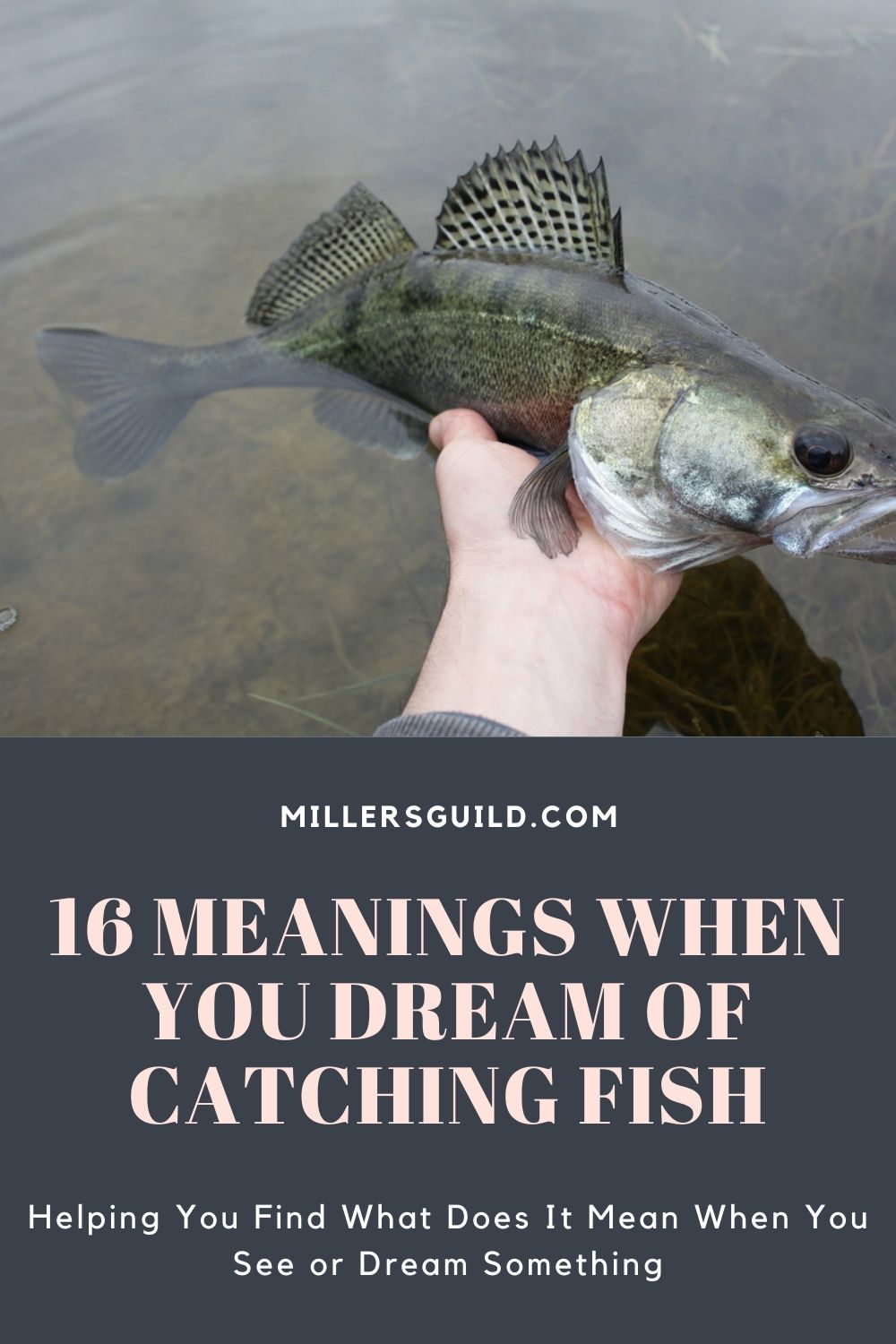16 Meanings When You Dream Of Catching Fish 2