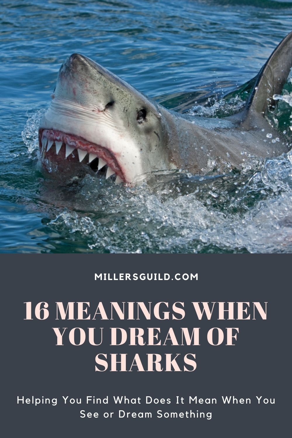 16 Meanings When You Dream of Sharks 1
