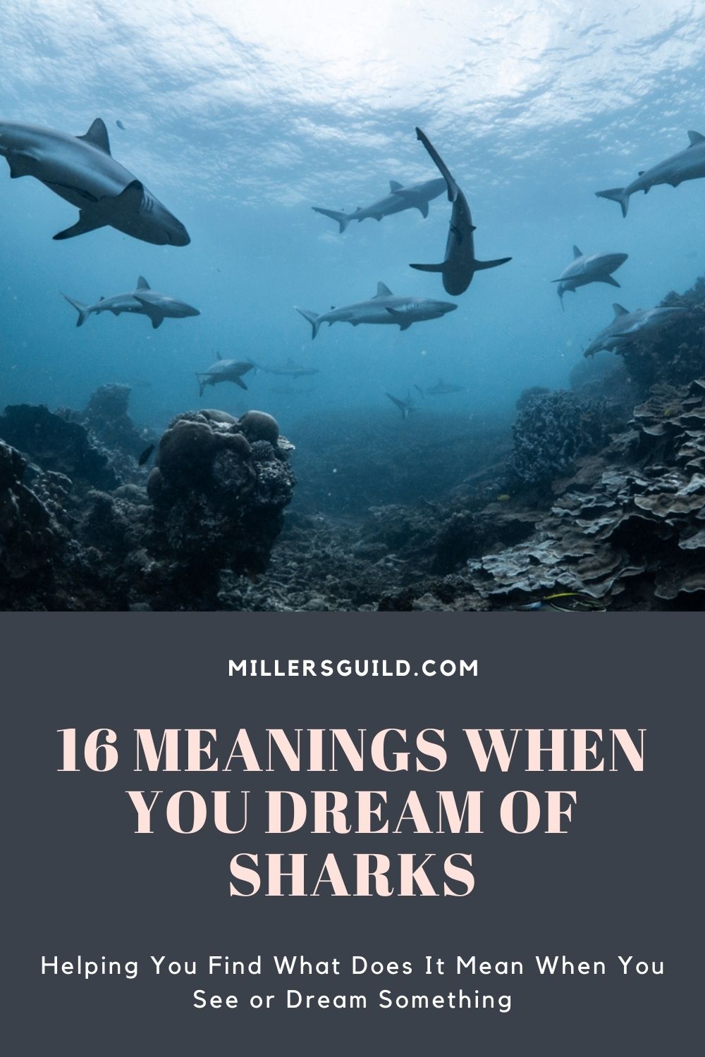 16 Meanings When You Dream of Sharks 2