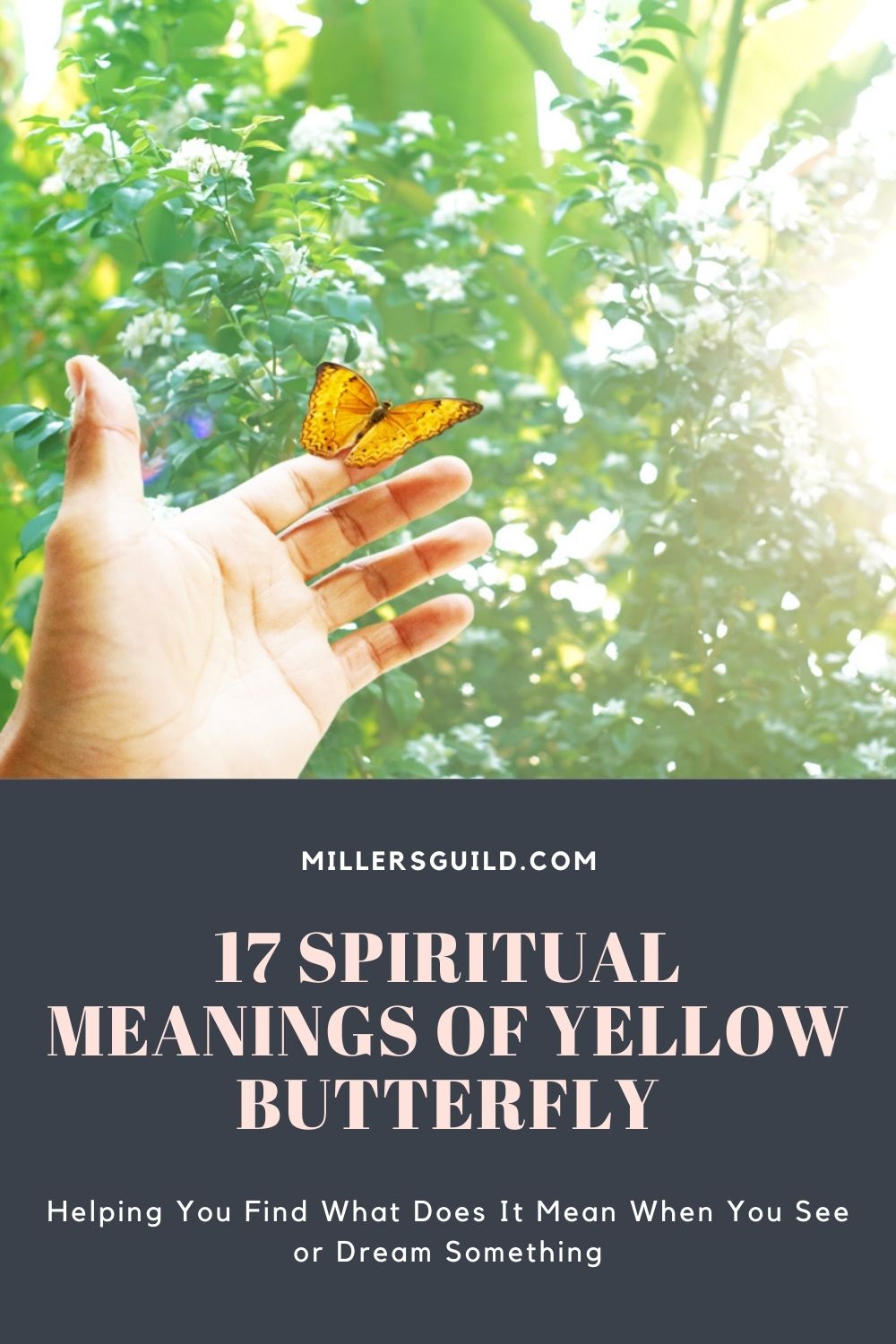 17 Spiritual Meanings of Yellow Butterfly 1