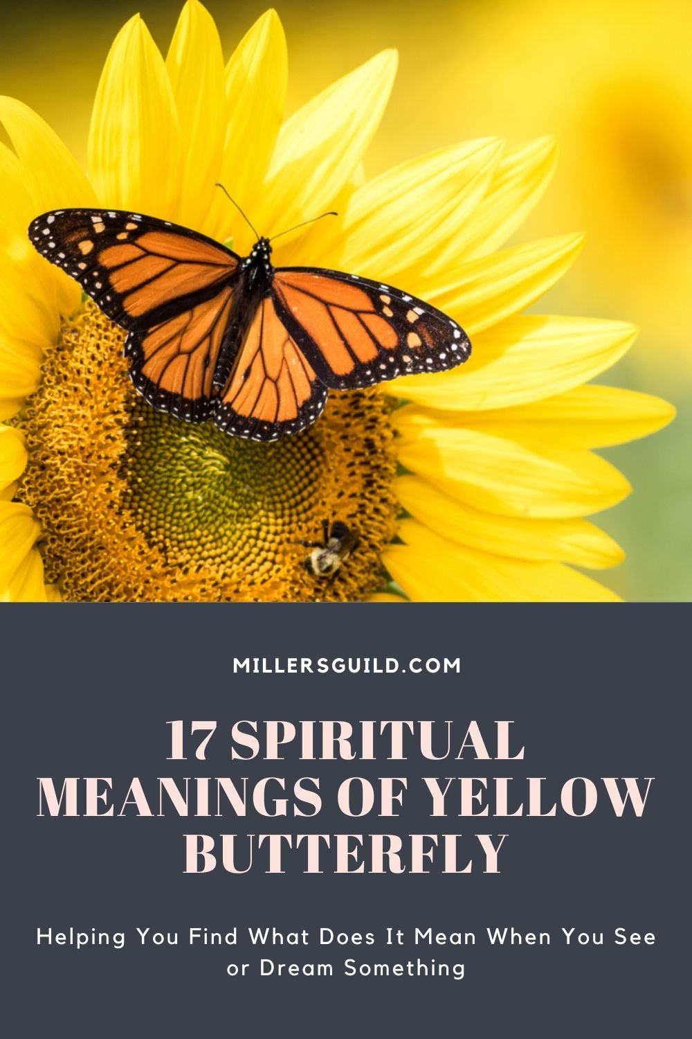 17 Spiritual Meanings of Yellow Butterfly 2
