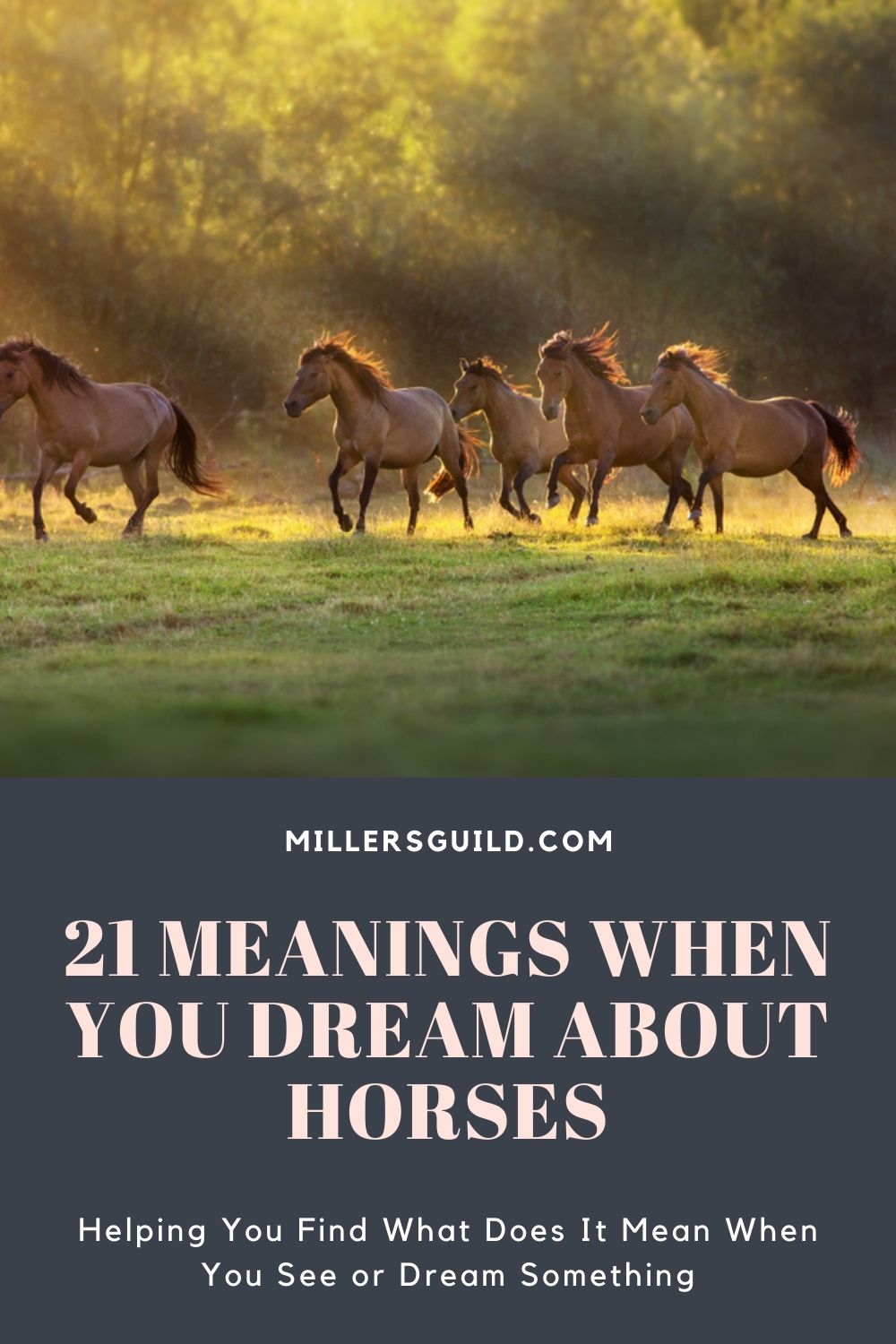21 Meanings When You Dream About Horses 1
