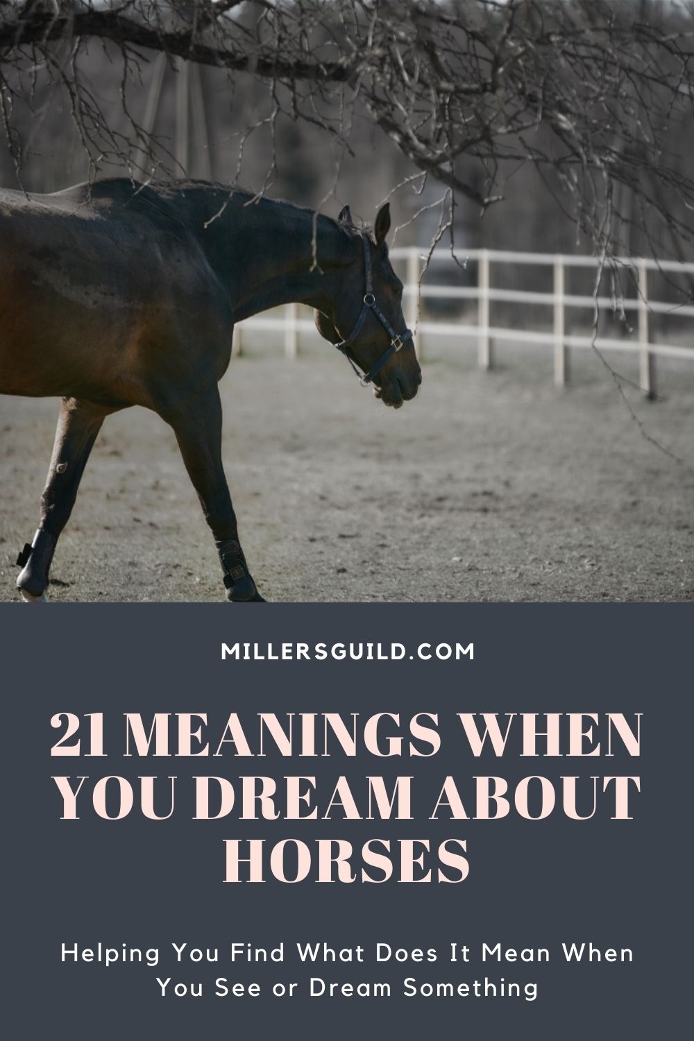 21 Meanings When You Dream About Horses 2