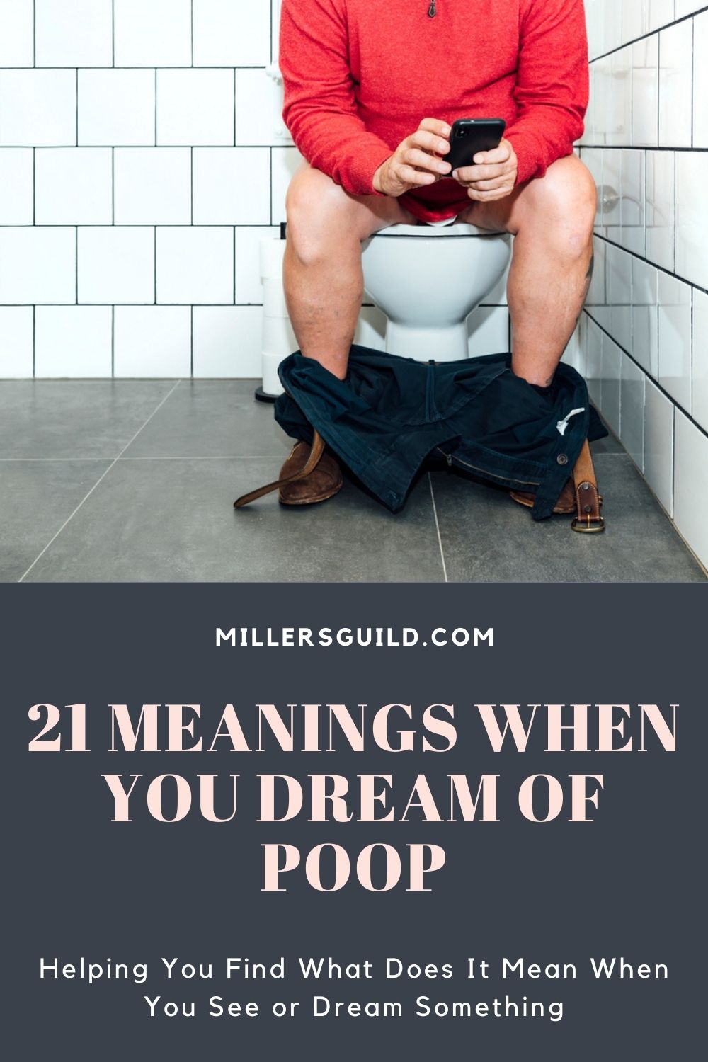 21 Meanings When You Dream of Poop 1