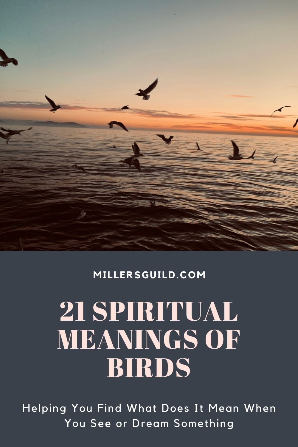 21 Spiritual Meanings of Birds 1