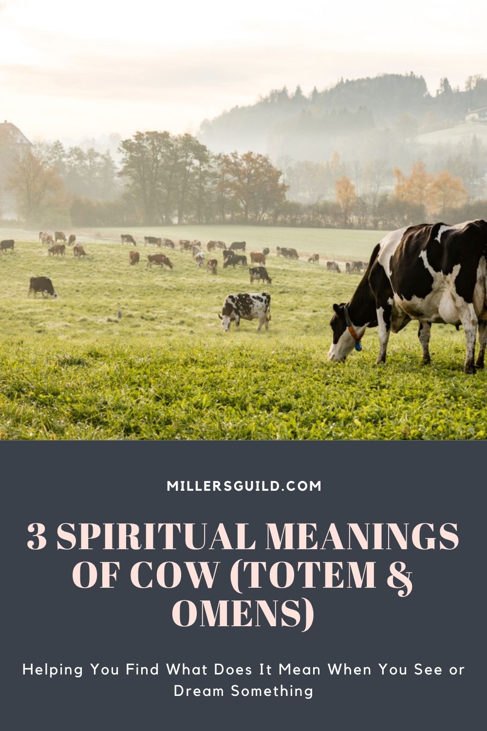 3 Spiritual Meanings of Cow (Totem & Omens) 2